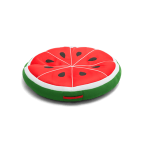 Fruit Slice Large - Pool Float
