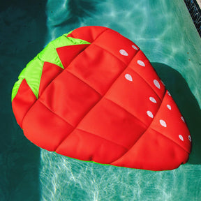 Fruit Float - Pool Float